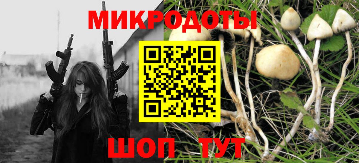 купить   Вход с VPN  Псилоцибиновые грибы прущие грибы  Черняховск  Псилоцибиновые грибы GOLDEN TEACHER 