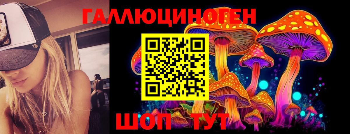 Псилоцибиновые грибы MAGIC MUSHROOMS Черняховск
